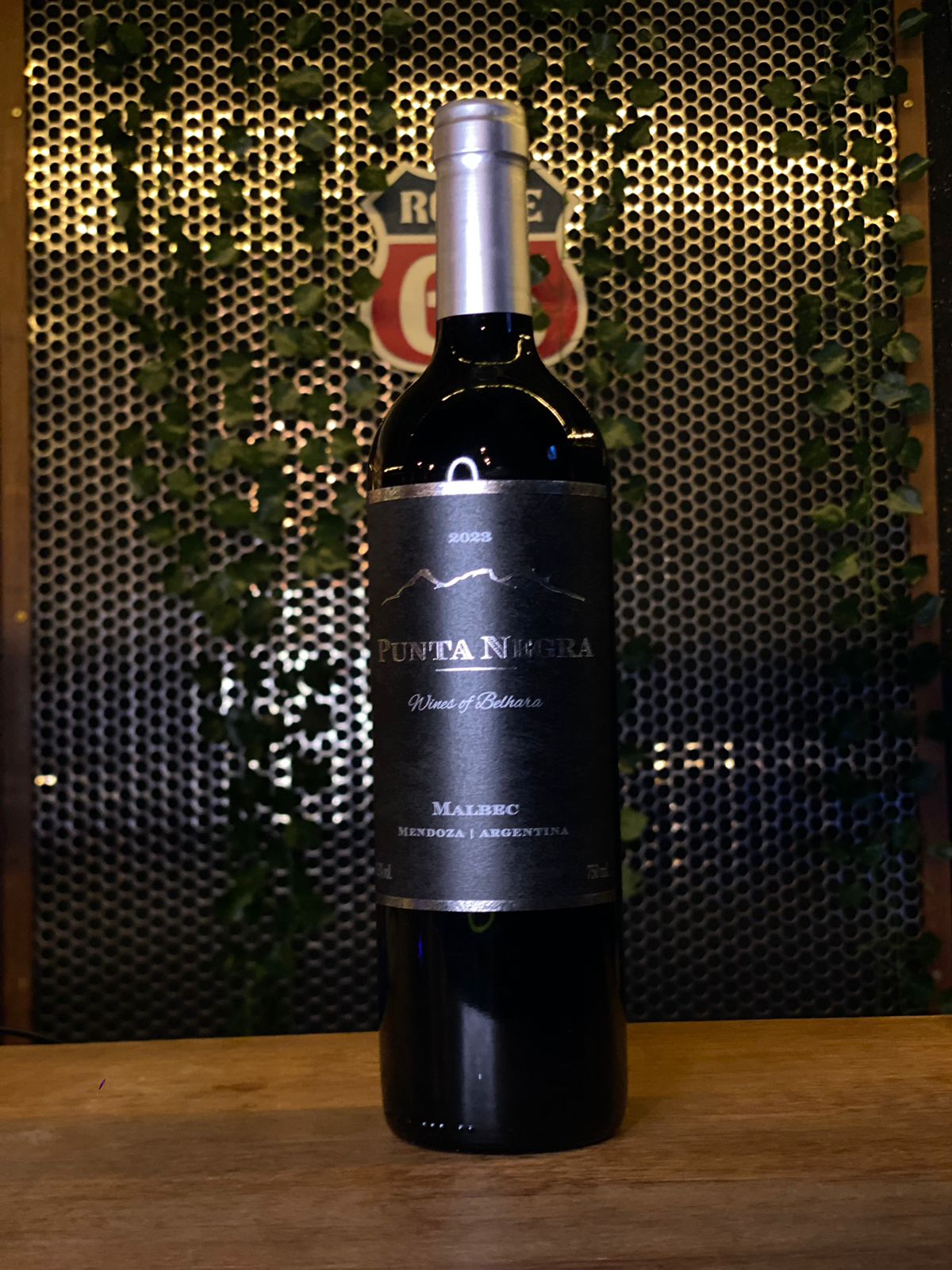 PUNTA NEGRA - MALBEC