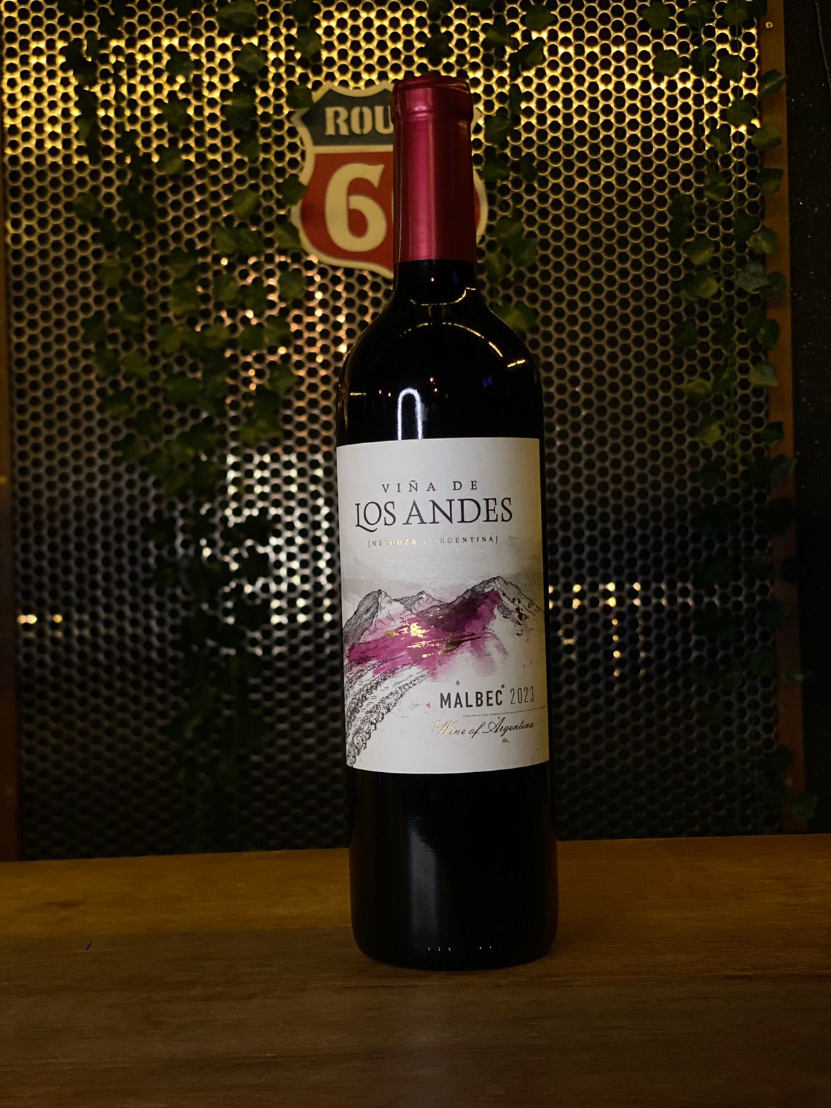 VINA  DE LOS ANDES - MALBEC