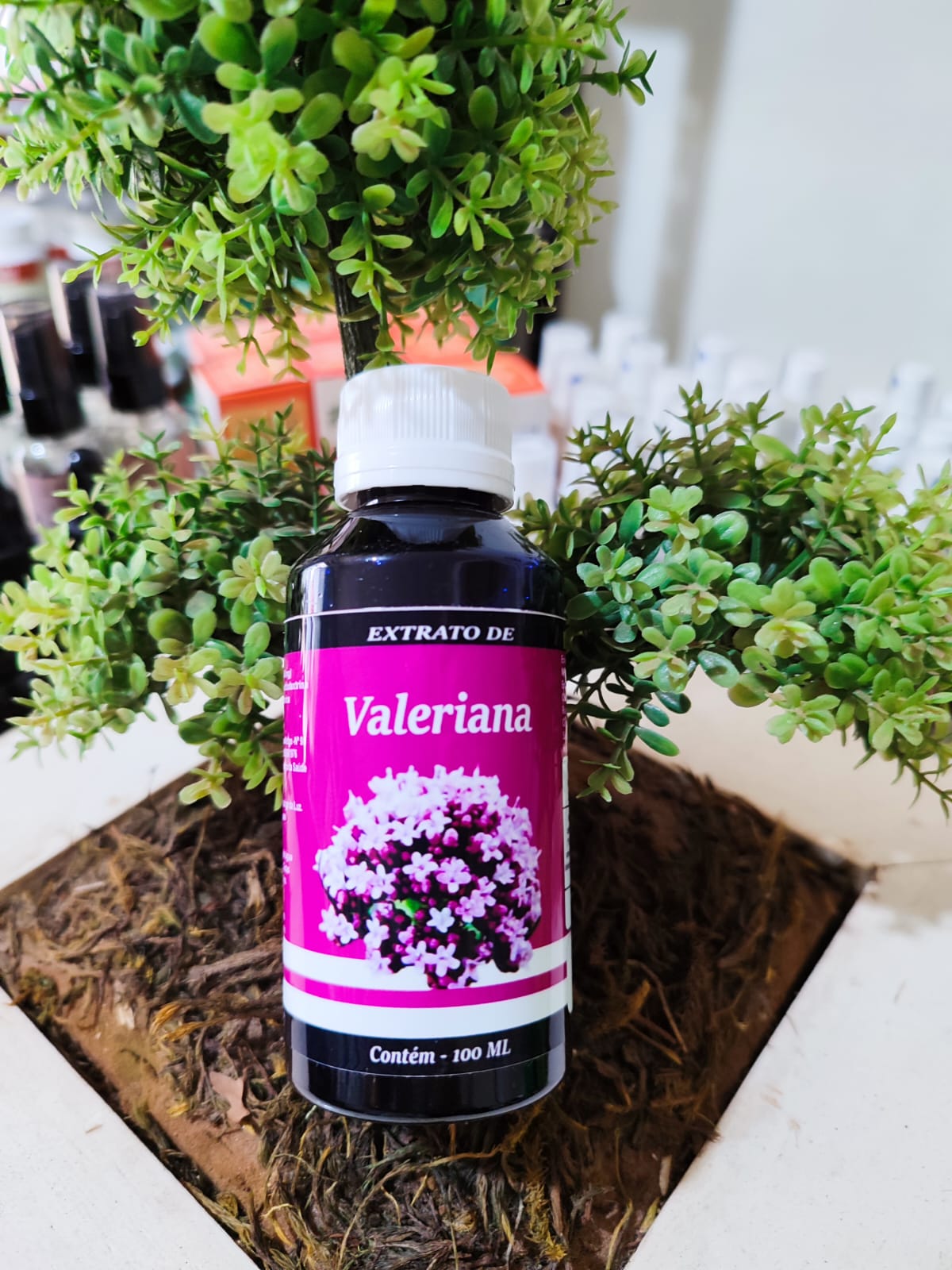 EXTRATO DE VALERIANA 100ML