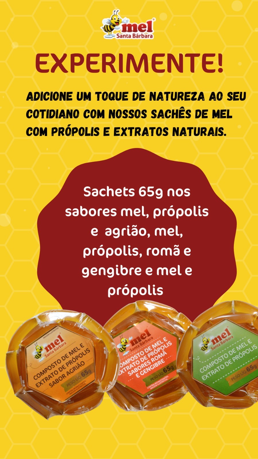 MEL SACHET MEL E PROPOLIS 65GR