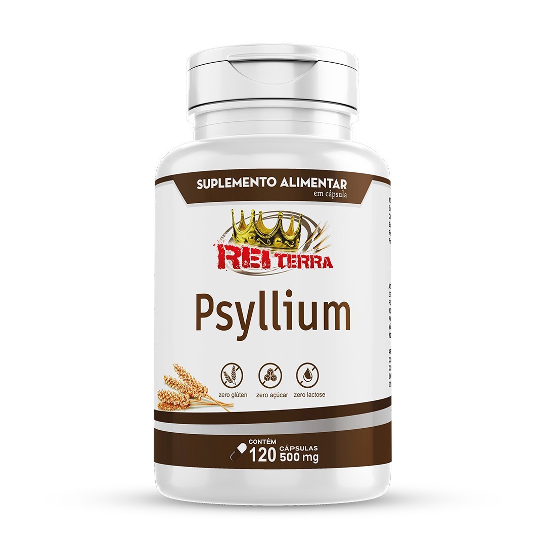 PSYLLIUM 120 CAPS REI TERRA