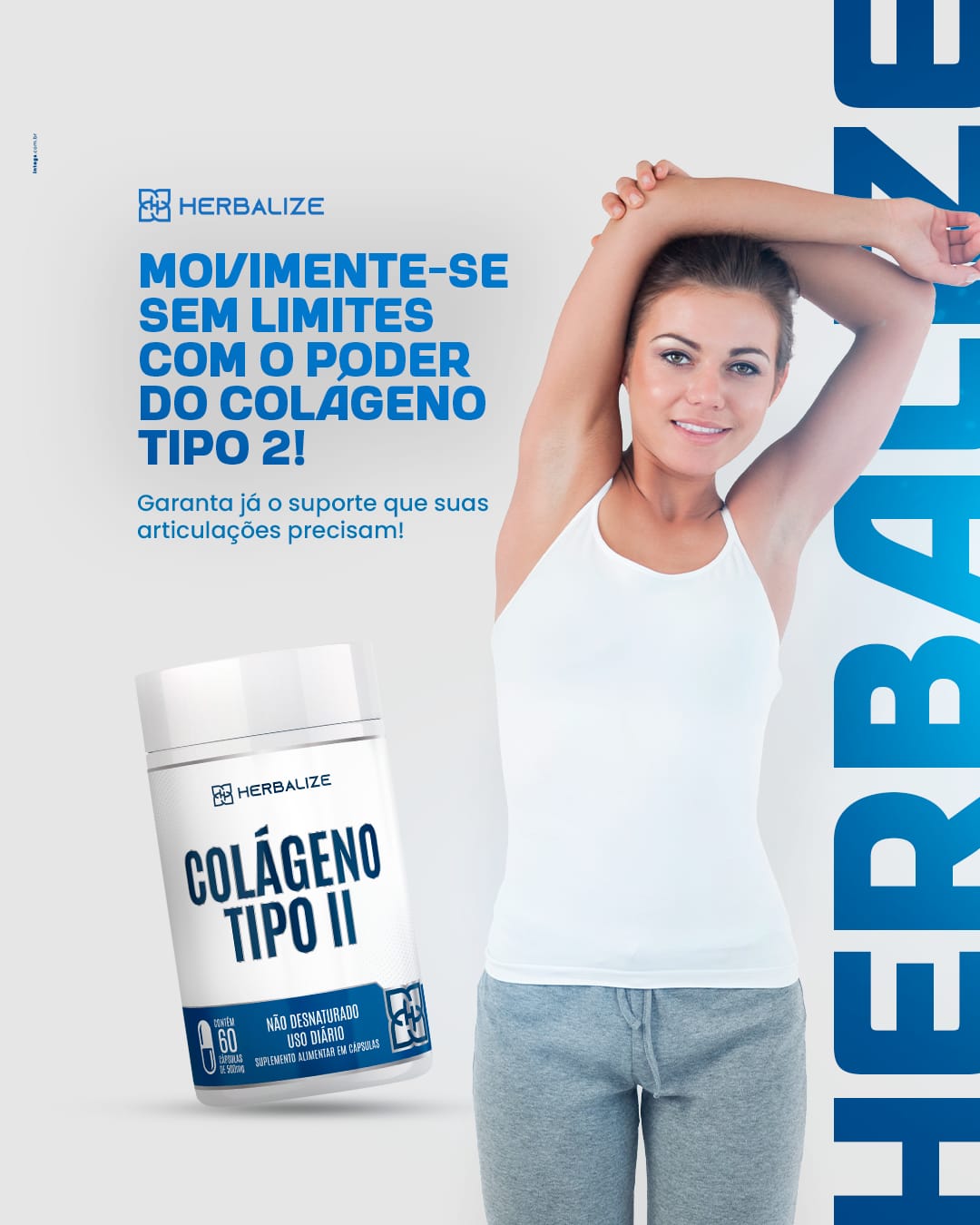 COLAGENO TIPO 2 60CAPS HERBALIZE