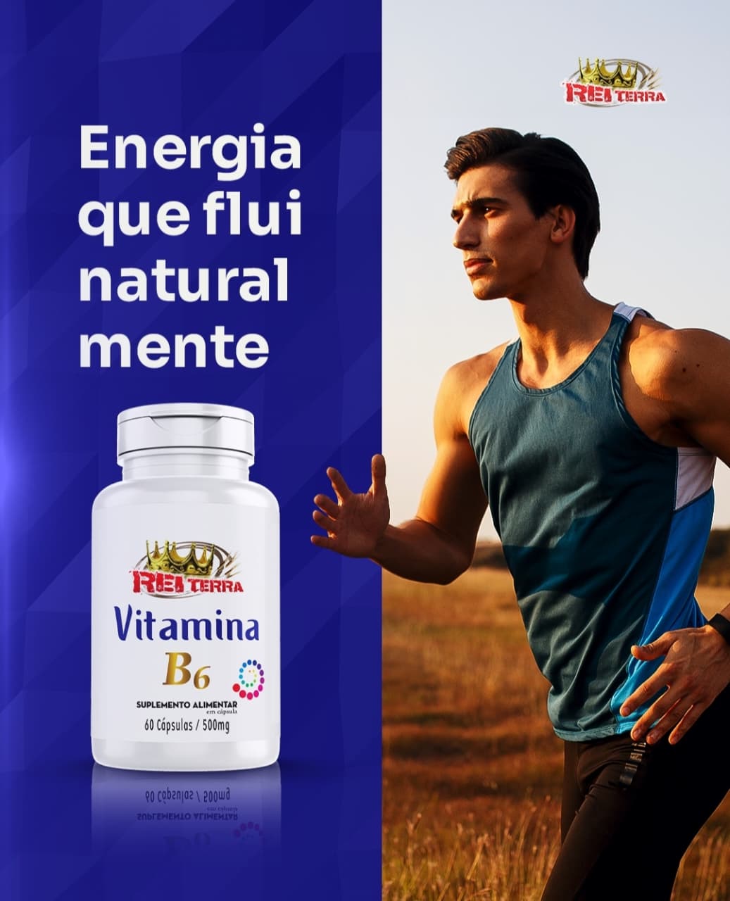 VITAMINA B6 60 CAPS REI TERRA