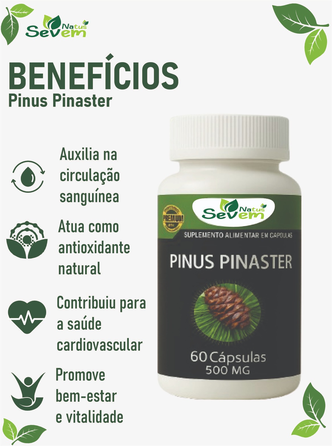 PINUS PINASTER 60 CAPS SEVEN NATUS