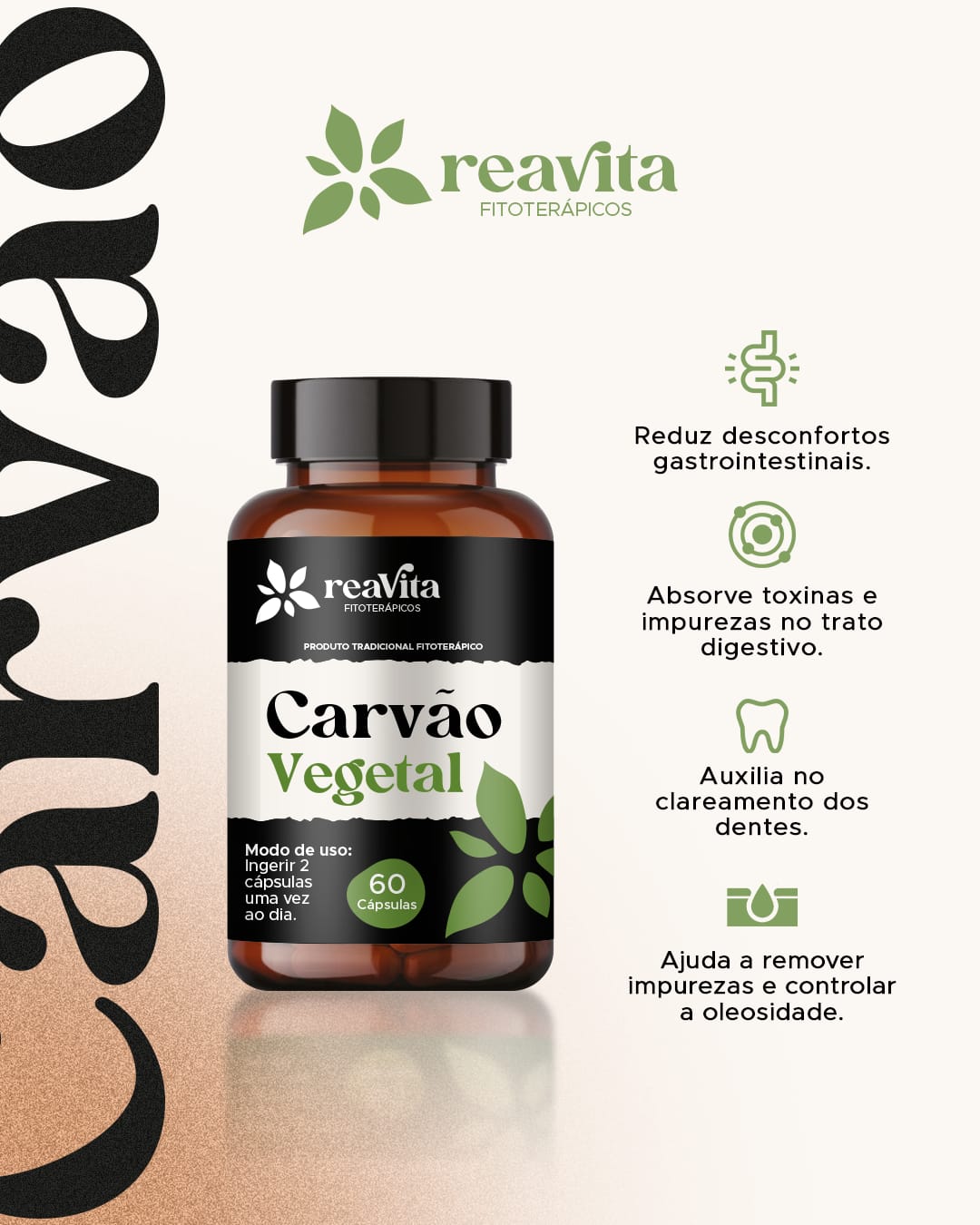 CARVAO VEGETAL 60CPS REAVITA 